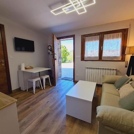 Puente Viejo Apartment Santa Cilia de Jaca Exterior foto